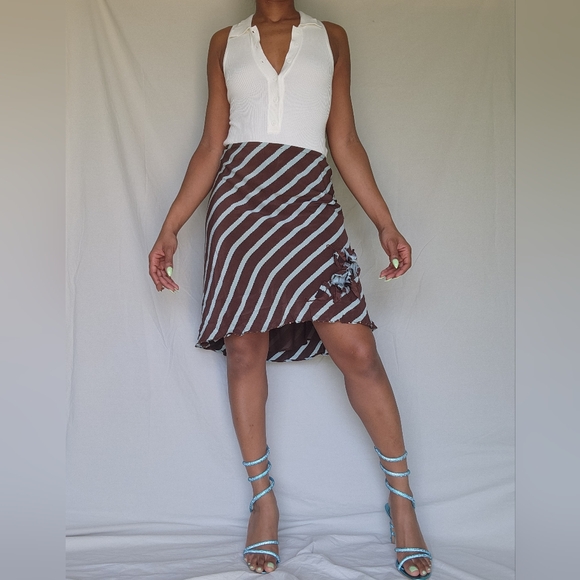 Sunny Leigh Dresses & Skirts - Sunny Leigh Baby blue and brown striped skirt